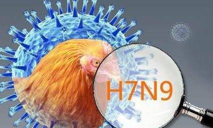 陕西省H7N9最新情况报告