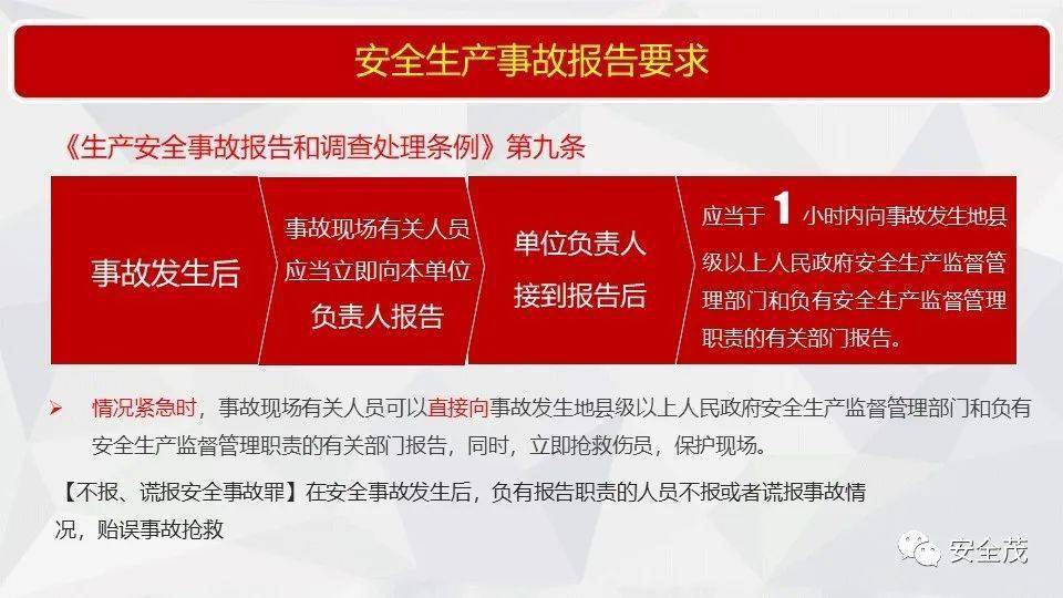 2025新奥正版资料大全-全面释义解释落实