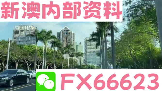 新澳精准资料大全,精选解释解析落实