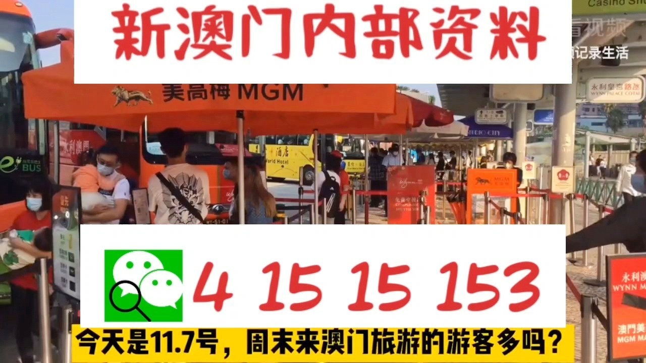 新澳门资料大全正版资料2025年免费下载,家野中特,最佳精选解释落实