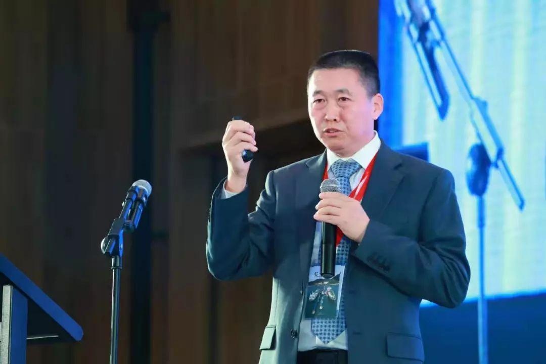 2025新奥今晚资料,精选资料解析大全