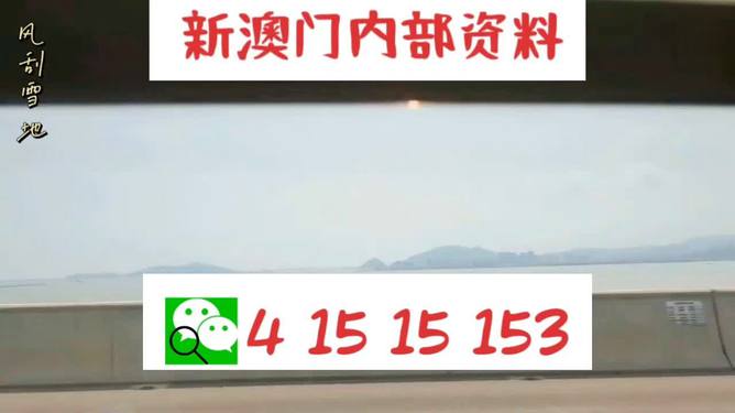 新澳门六资料大全2025资料记,精选解释解析落实