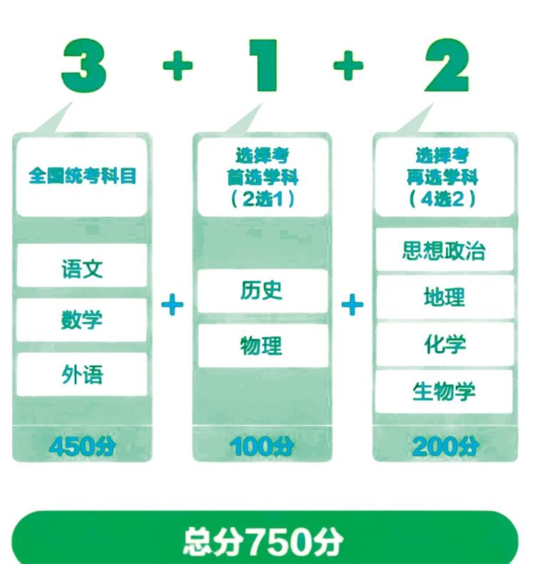 2025新澳门六肖,精选解释解析落实
