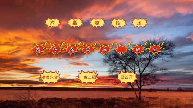 跑狗图993994www跑狗玄机,富强解释解析落实