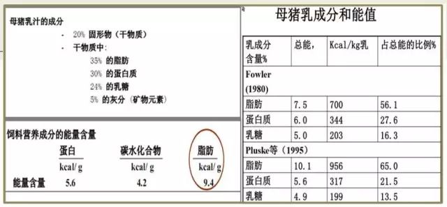 新奥门资料大全正版资料2025年免费下载,精选资料解析大全
