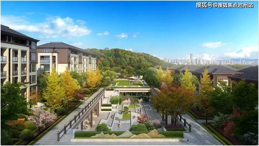 澳门彩先知com网址,文明解释解析落实
