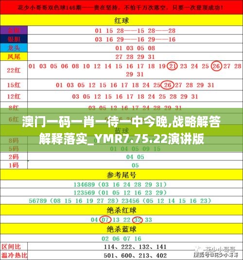新澳门出今晚最准确一肖,精选资料解析大全