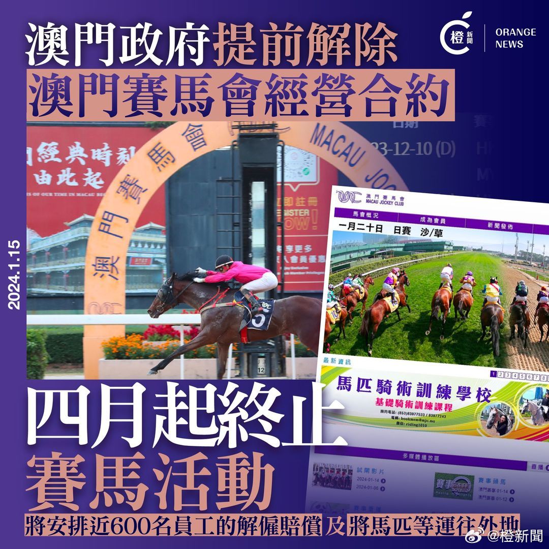 今天澳门晚上出什么马,精选资料解析大全