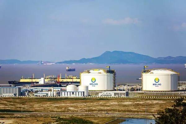 2025新奥天天资料免费大全,精选解释解析落实