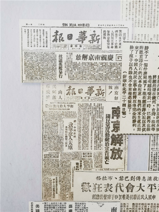 2025新澳门跑狗图今晚特,精选资料解析大全