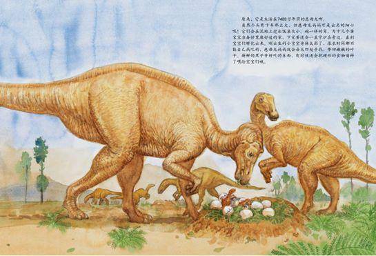 四不像正版 正版四不像凤凰,精选解释解析落实