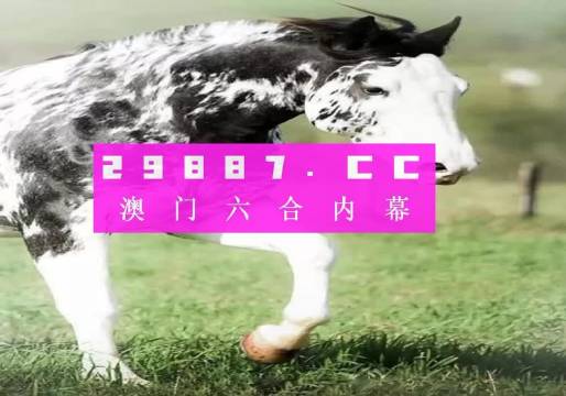 澳门香港一肖一码一中一特免费公开,最佳精选解释落实