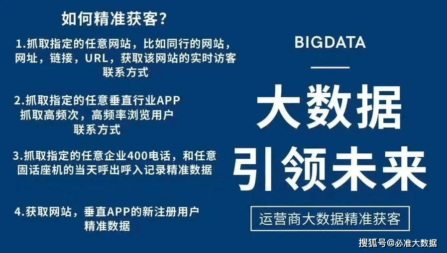 2025精准正版资料,精选资料解析大全