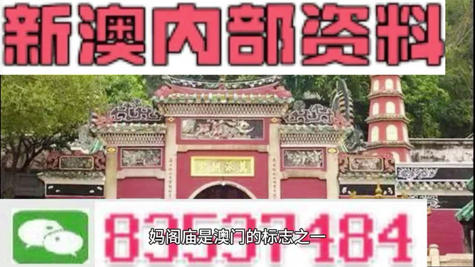 新澳门黄大仙救世报,精选资料解析大全