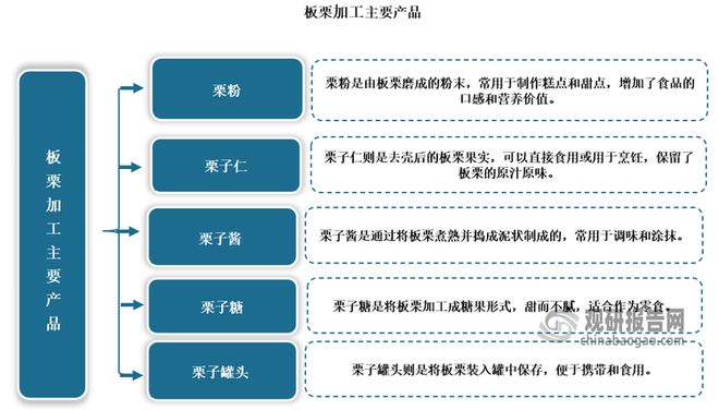 2025正版资料免费公开,精选资料解析大全