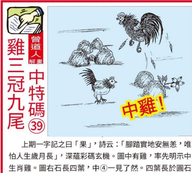 澳门正版资料大全资料生肖卡,精选资料解析大全
