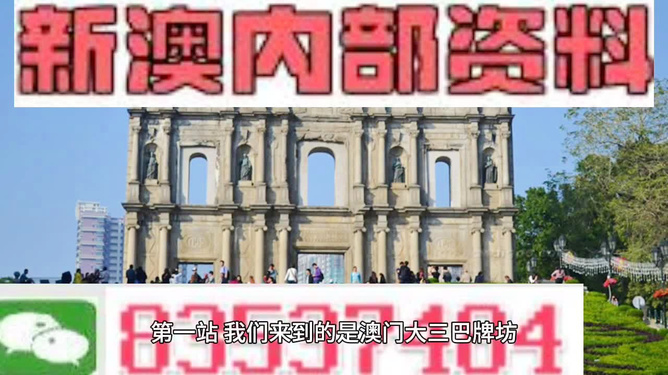 澳门最精准免费资料大全,精选资料解析大全