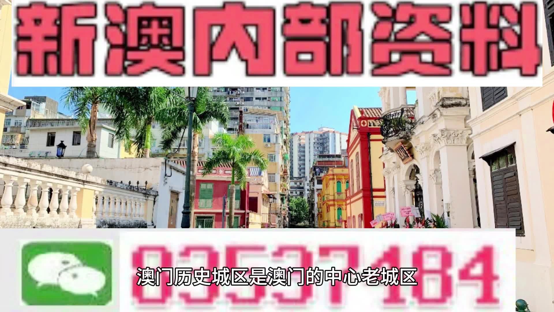 澳门大网站vip资料,精选资料解析大全