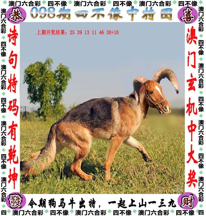 四不像2025年今期资料值得,精选资料解析大全