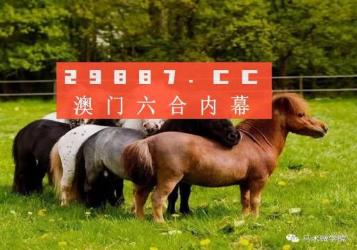白小姐四不像一肖开奖,精选资料解析大全