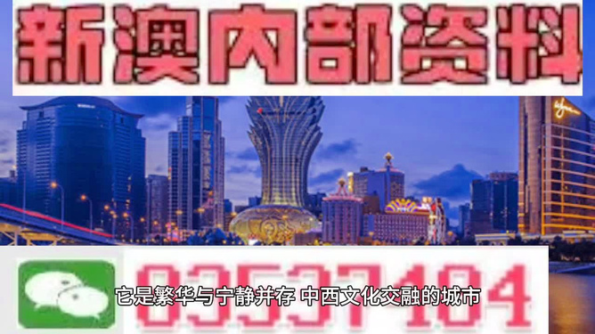 2025新澳门天天开好彩大全49,精选资料解析大全