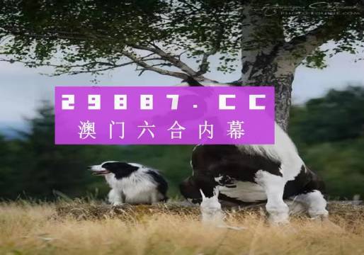 澳门跑狗图免费正版图2025年,精选资料解析大全