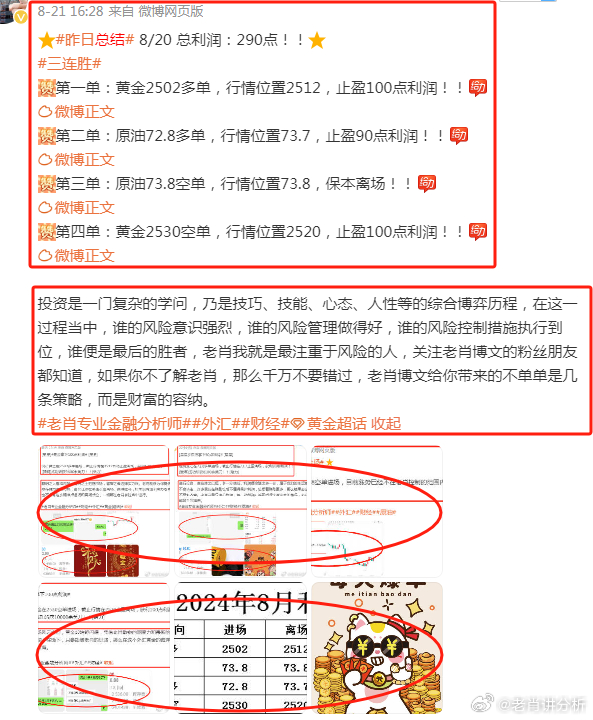 香港100%最准一肖中,精选资料解析大全