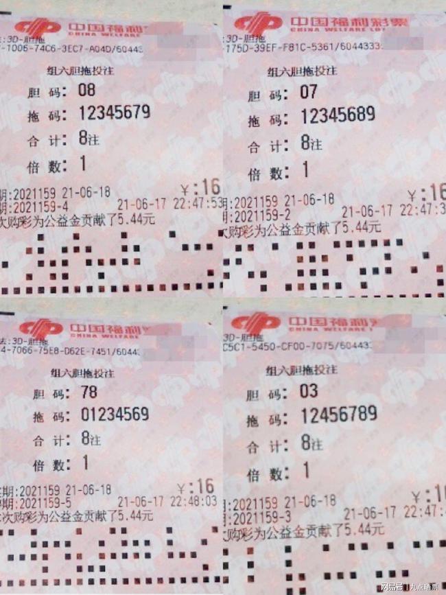 一码一肖100%的资料,精选资料解析大全