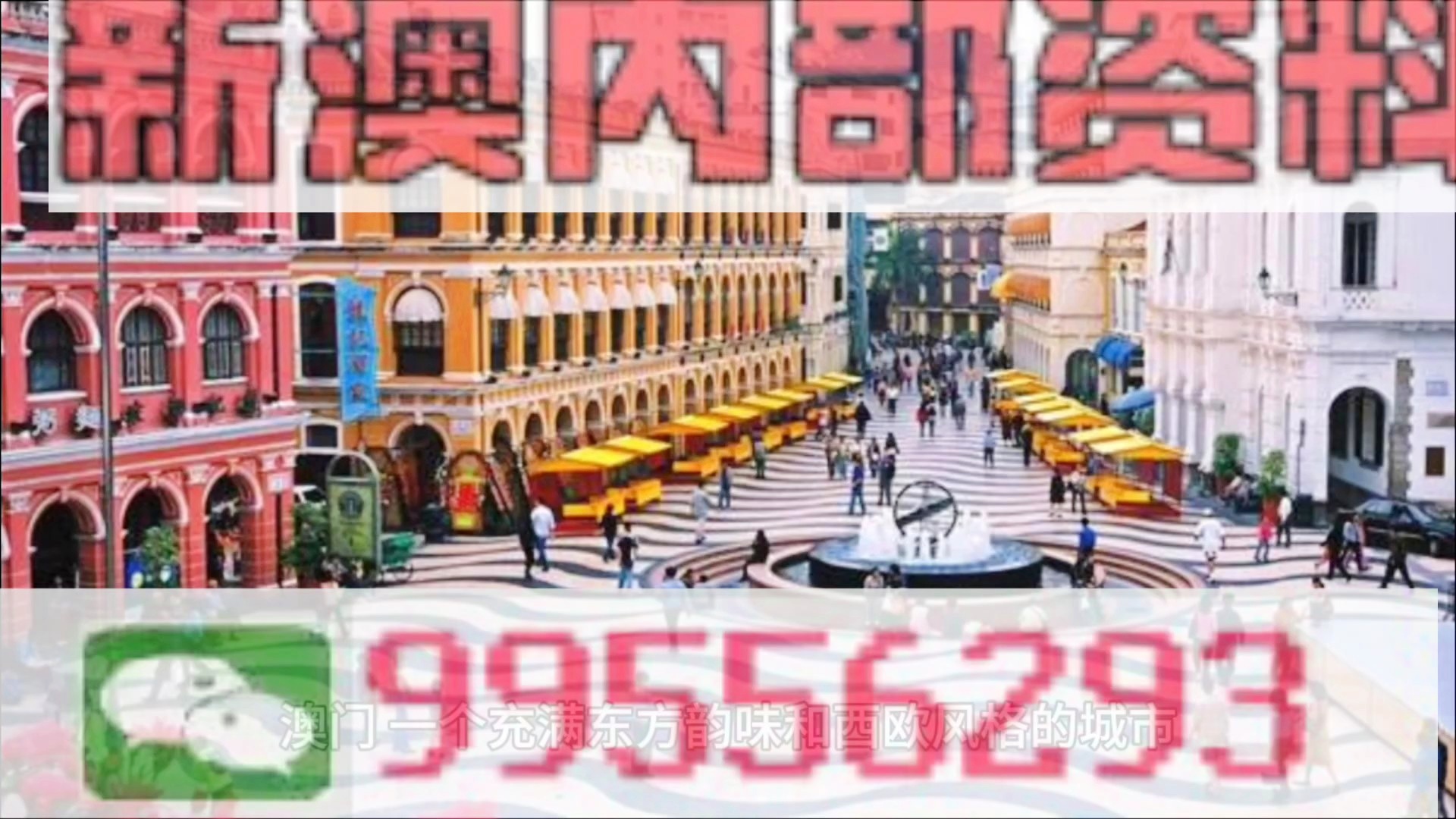 新澳门中特期期精准,精选资料解析大全