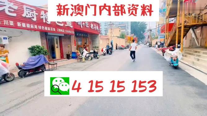 新澳门天天开好彩600库大全,精选资料解析大全