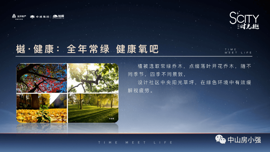 新奥门免费资料最新版,精选资料解析大全