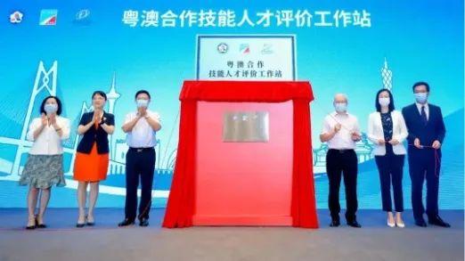 澳门挂牌正版挂牌之全篇必备攻略|精选解释解析落实