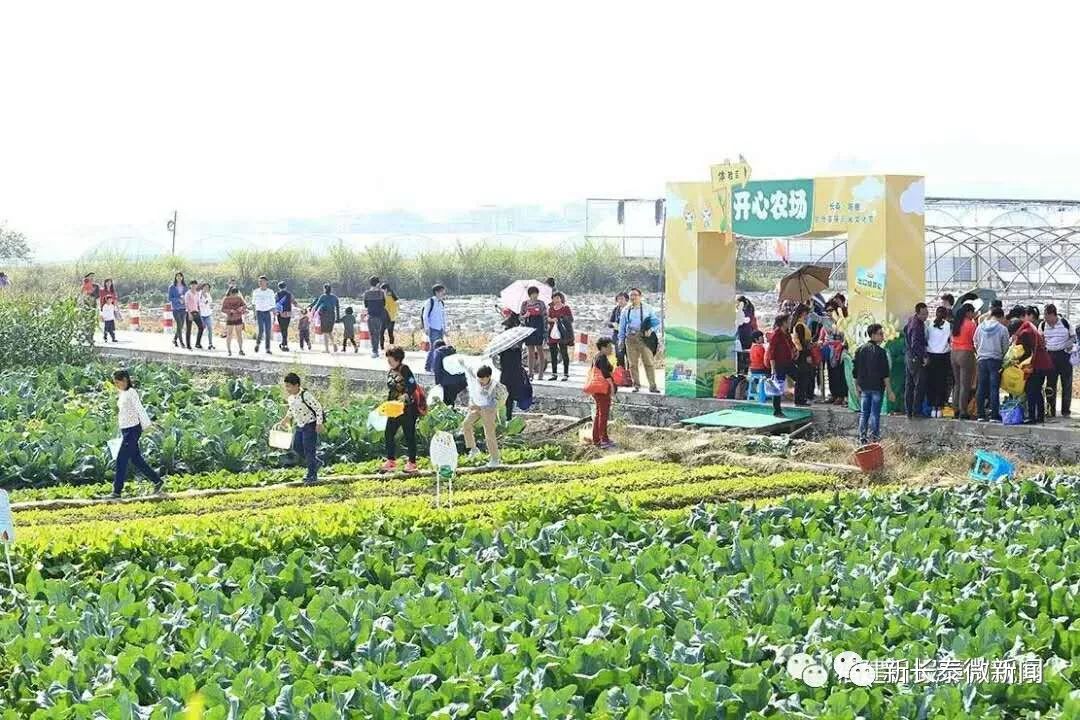 长泰人才网最新招聘信息古农农场