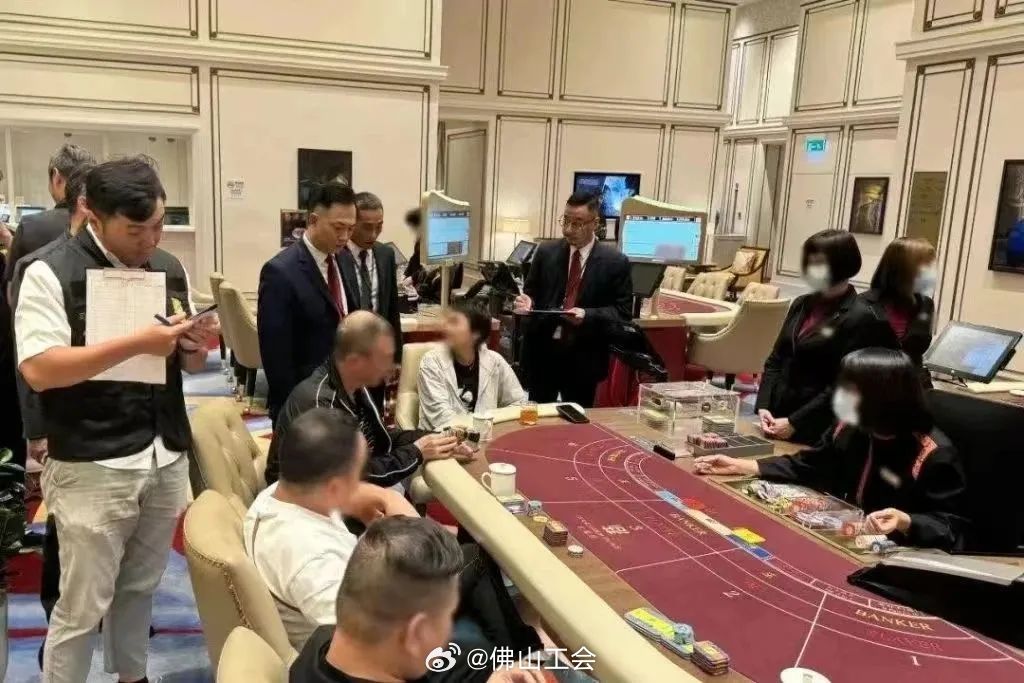 澳门今晚一肖一码1009995,澳门今晚一肖一码1009995，揭示背后的违法犯罪问题