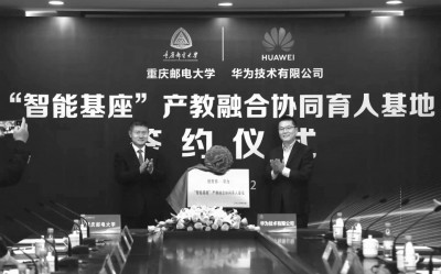 新澳门四肖期期准免费,新澳门四肖期期准免费——探索背后的真相与秘密