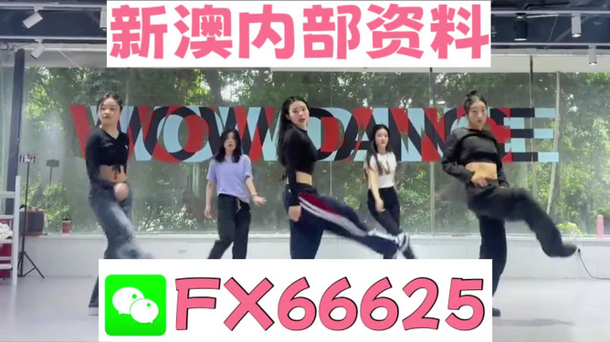 新澳精准资料大全,新澳精准资料大全——探索与解析