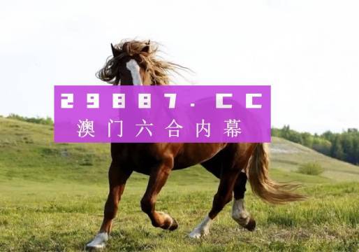 新澳门六开奖结果2025开奖记录查询网站,澳门新开奖结果查询网站，探索与体验