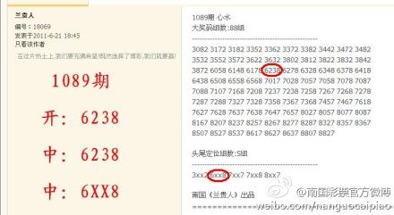 澳门新10码精准预测揭秘,澳门新10码精准预测揭秘，探索背后的秘密与真相