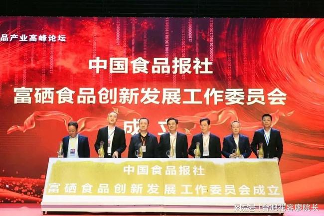 2025新奥马新免费资料,探索未来，关于新奥马新免费资料的深度解析（2025展望）