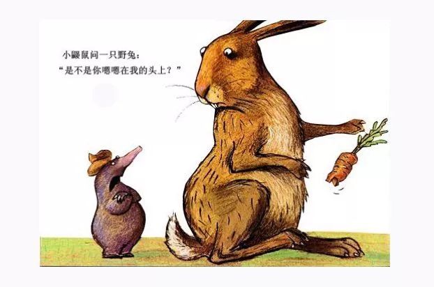 白小姐正版四不像最新版本,白小姐正版四不像最新版本，探索神秘的游戏世界