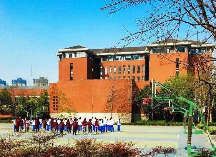 今天必中四不像图,揭秘今日必中四不像图的奥秘