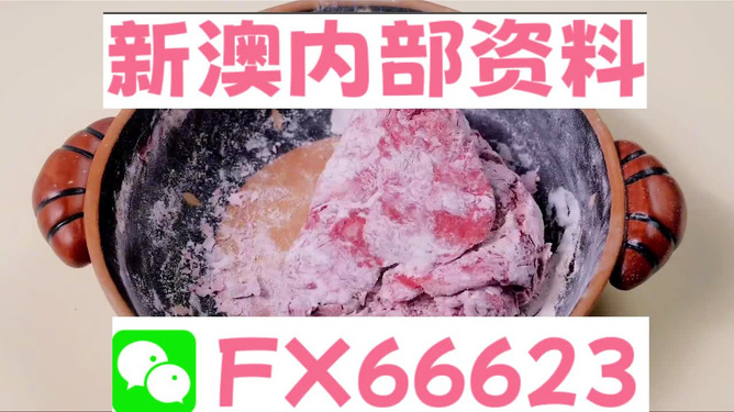 新澳门内部一码精准公开,新澳门内部一码精准公开，探索真相与理解