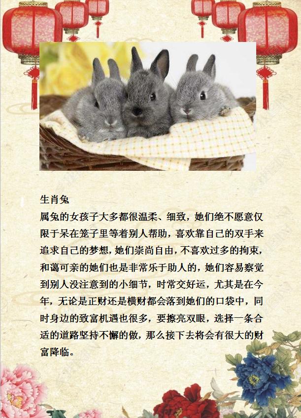 今晚必开什么生肖,今晚必开什么生肖，探寻生肖运势与预测的魅力