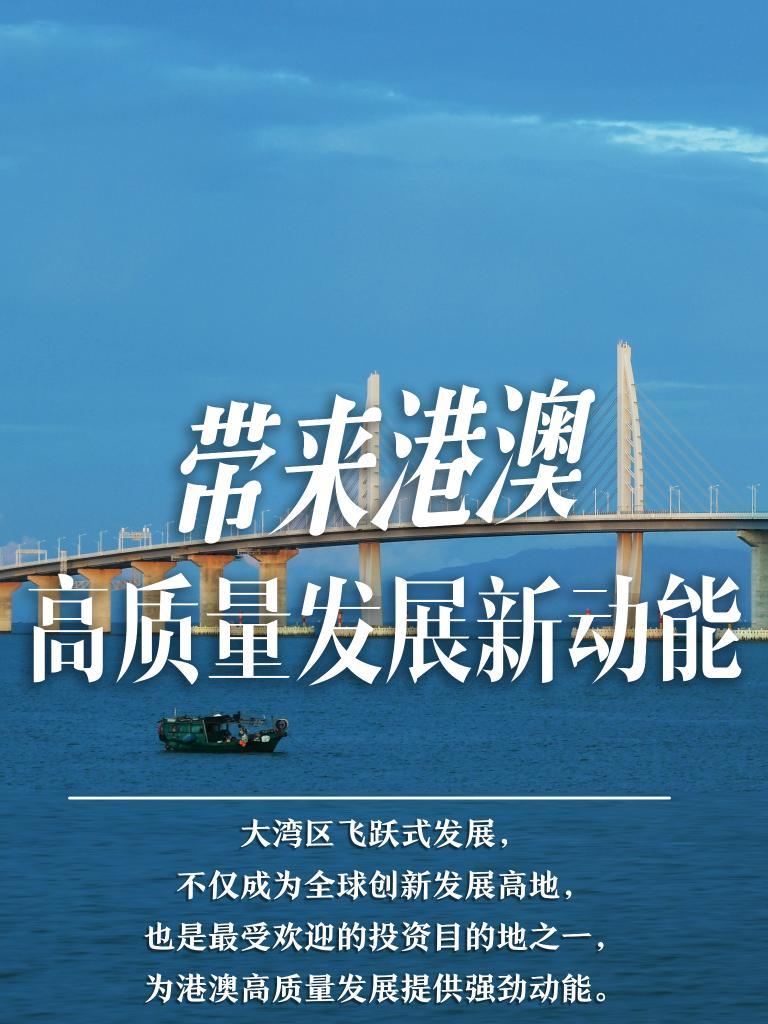 新澳门精准精准龙门,新澳门精准精准龙门，探索与解读