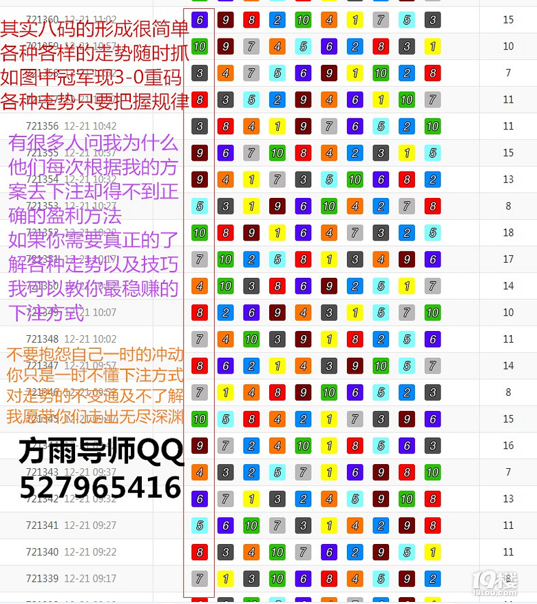 白小姐一肖一码最准一肖,白小姐一肖一码，揭秘最准确的一肖预测