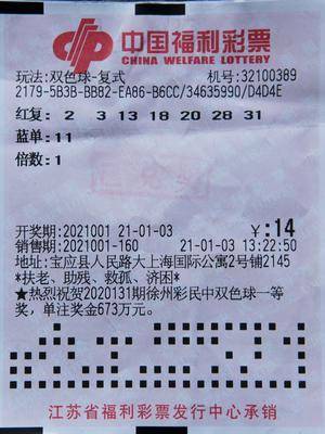 新奥门天天开奖资料大全,新澳门天天开奖资料大全，探索与解读彩票的魅力