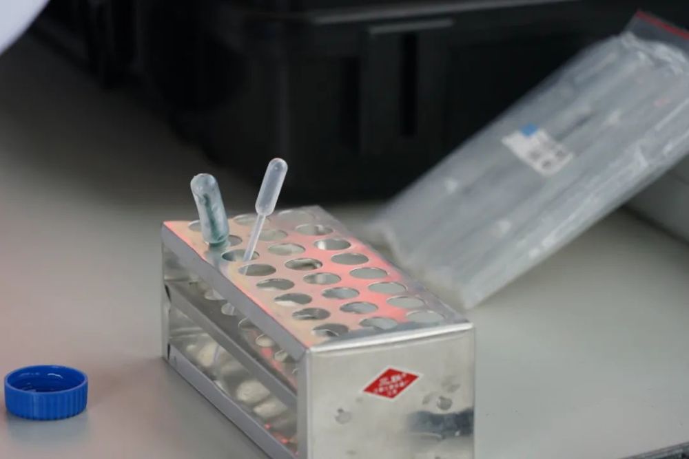 79456濠江论坛最新消息今天,聚焦濠江论坛，解读最新消息与深度洞察