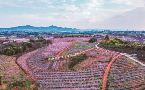 2025新澳今晚资料免费,探索未来之门，2025新澳今晚资料免费
