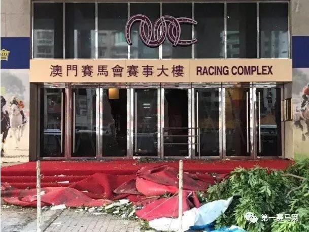 马会传真资料2025新澳门,马会传真资料2025新澳门，探索未来的繁荣与发展