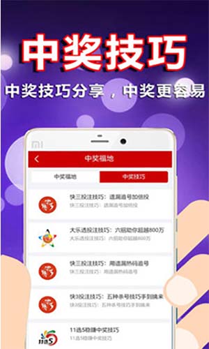 2023澳门彩天天开奖结果,揭秘澳门彩天天开奖结果，探寻彩票背后的秘密与魅力